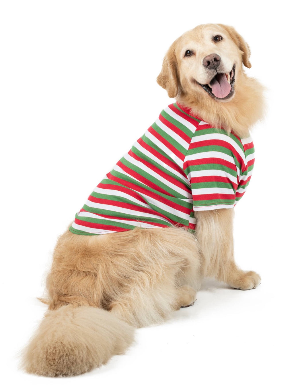 Big Dog Cotton Christmas Pyjamas