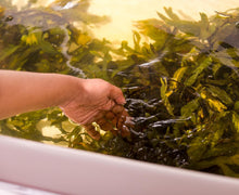 Load image into Gallery viewer, Lazy Days Detoxifying Seaweed Bath

